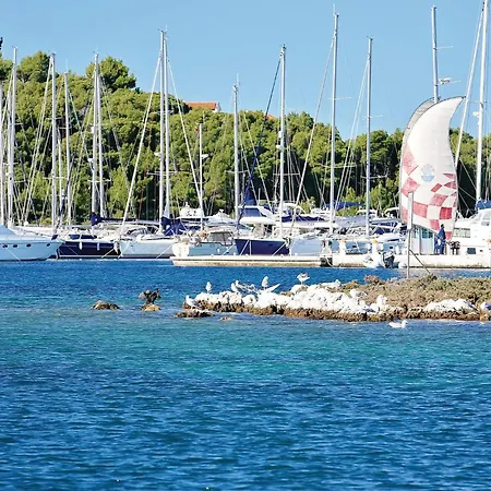 Lägenhet In With Sauna